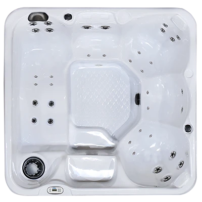 Hawaiian PZ-636L hot tubs for sale in Brownsville